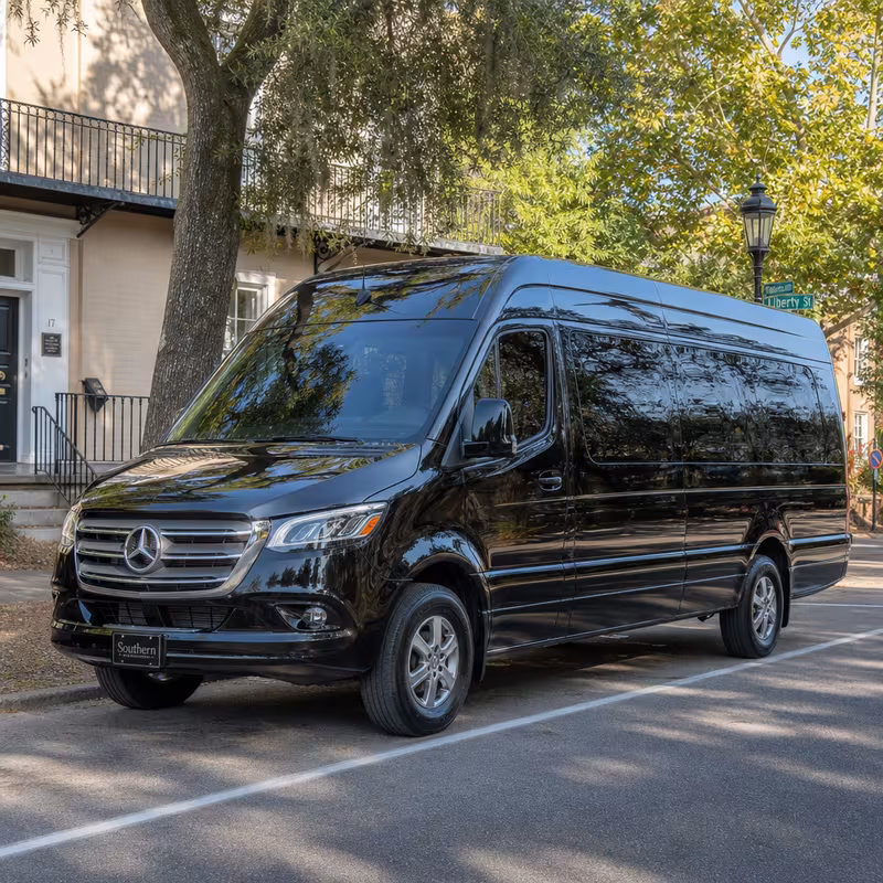 14 Passenger Sprinter Limo